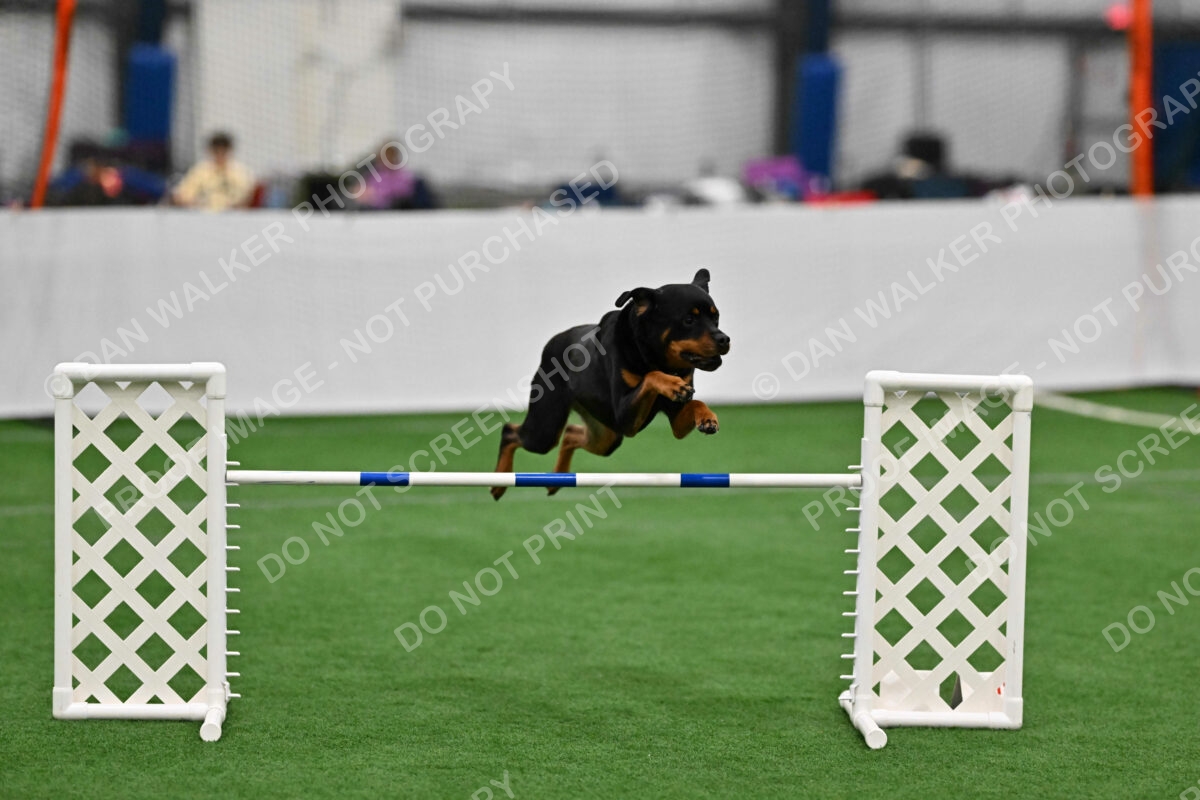 KAI-Katrina-Koehnle-05482