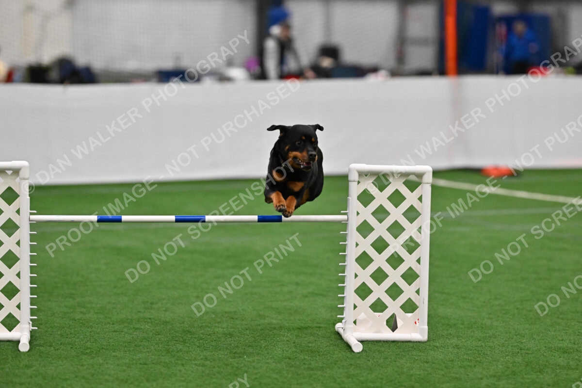 KAI-Katrina-Koehnle-05491