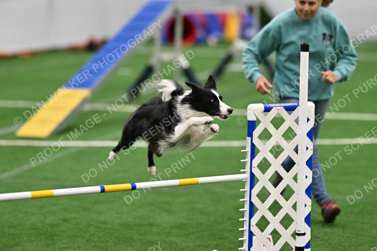 Keeper-Laurie-Wischt-04160