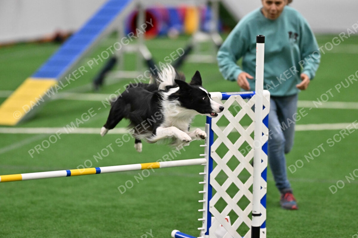 Keeper-Laurie-Wischt-04161