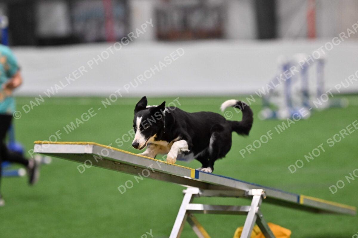 Luna-Madalyn-Treadway-07287