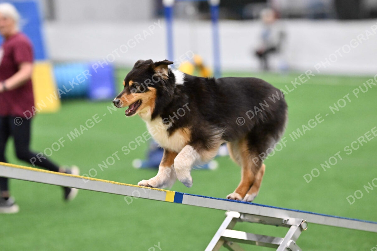 Maddie-Helene-Weber-10154
