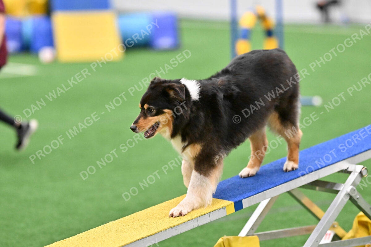 Maddie-Helene-Weber-10158