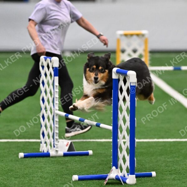 Maddie-Helene-Weber-10198