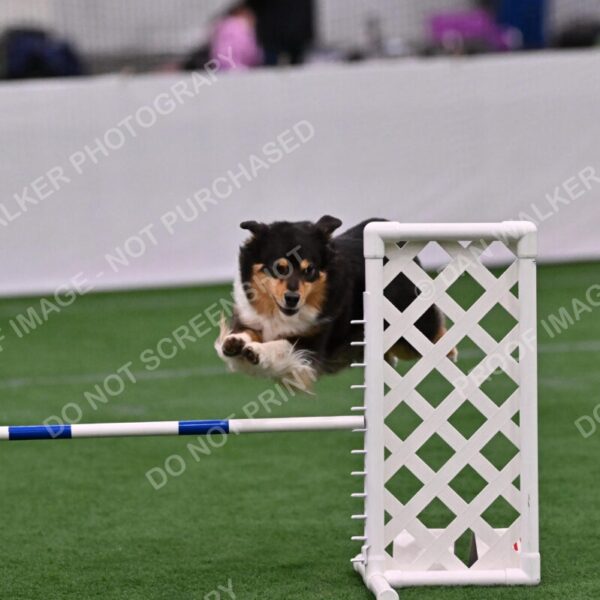 Maddie-Helene-Weber-10200