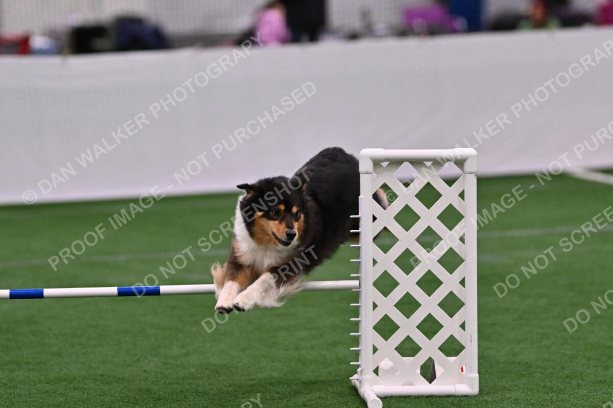 Maddie-Helene-Weber-10201