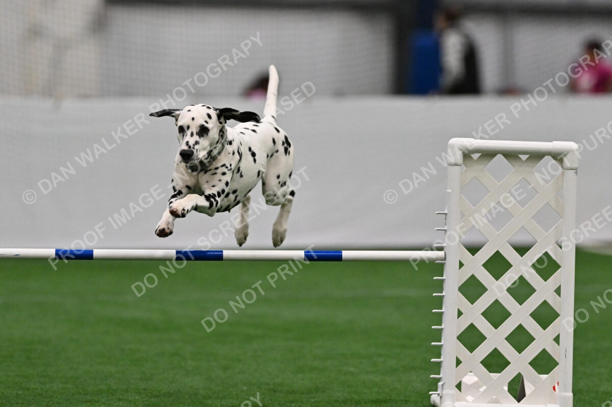 Maddie-Linda-Lombardi-03843