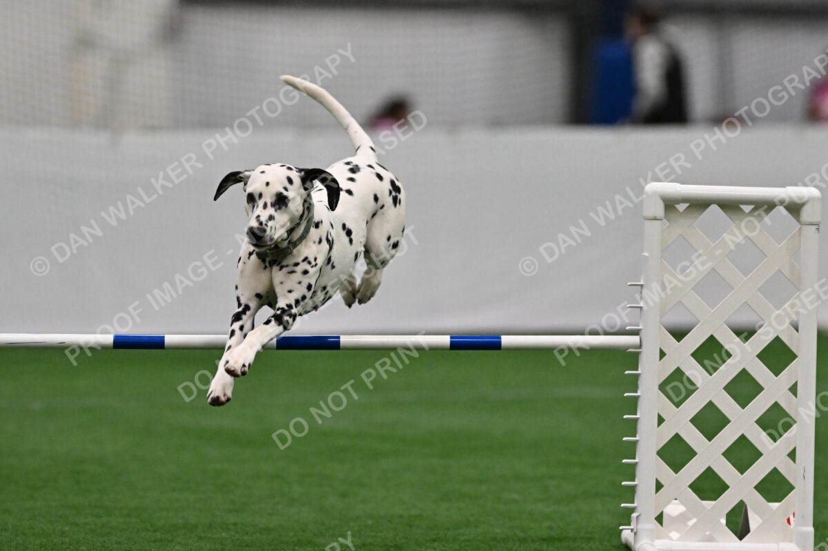 Maddie-Linda-Lombardi-03844