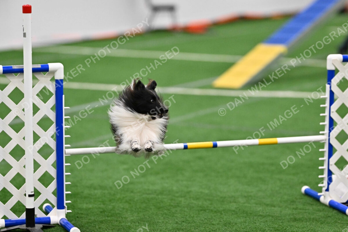 Maverick-Melanie-Thomas-02538