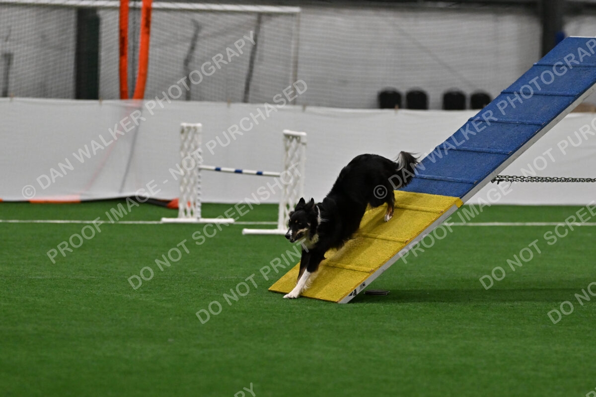 Mickey-Carolyn-Lincoln-04006