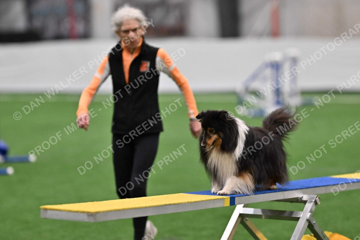 Onyx-Carol-Currier-00636