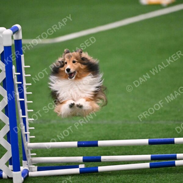 Peaches-Suzanne-Stachurski-09603