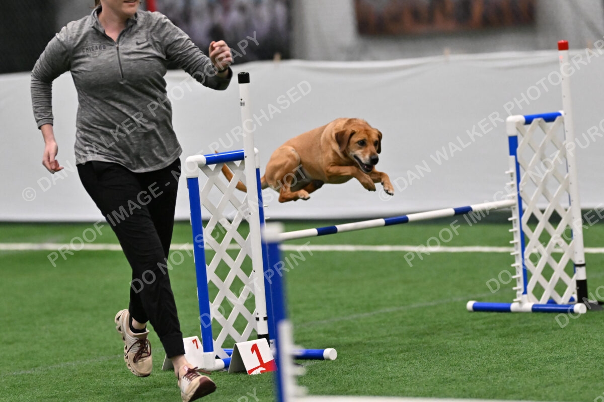 Rhona-Laura-Farrell-08808