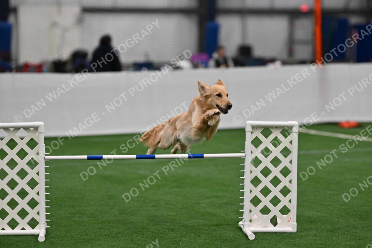 Rowdy-Heather-Coulis-06152