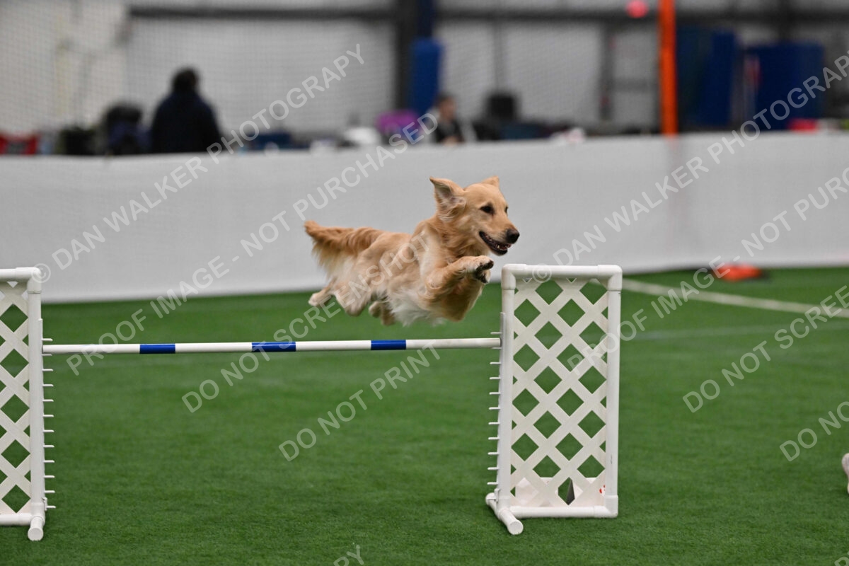 Rowdy-Heather-Coulis-06153