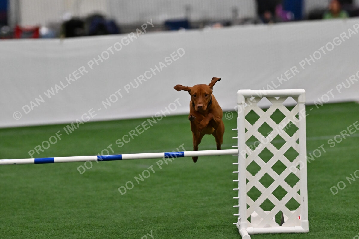 Rumble-Tim-Kim-Dillon-04738