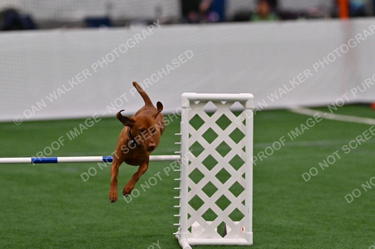 Rumble-Tim-Kim-Dillon-04750