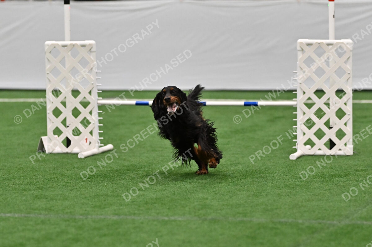 Sherrie-Julie-Ashley-10274