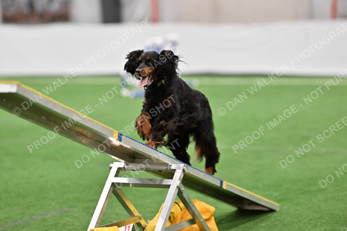 Sherrie-Julie-Ashley-10280