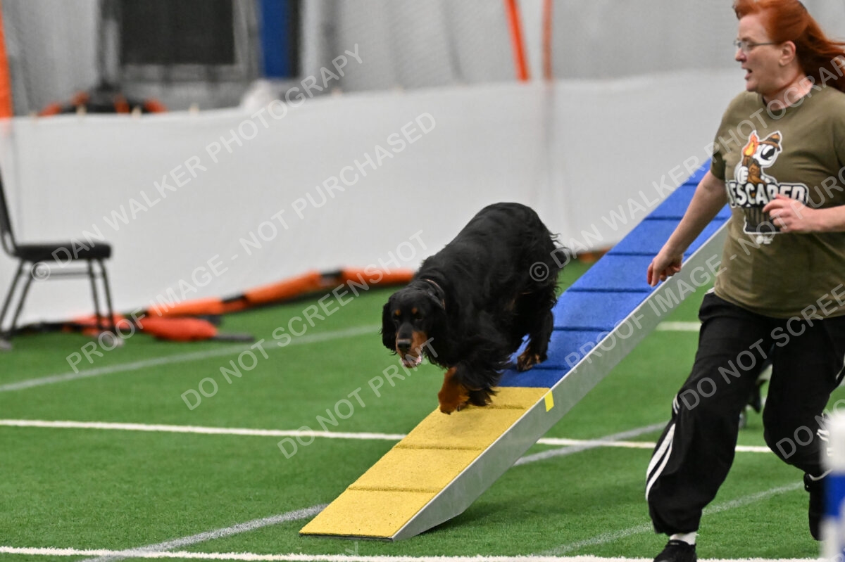 Sherrie-Julie-Ashley-10295