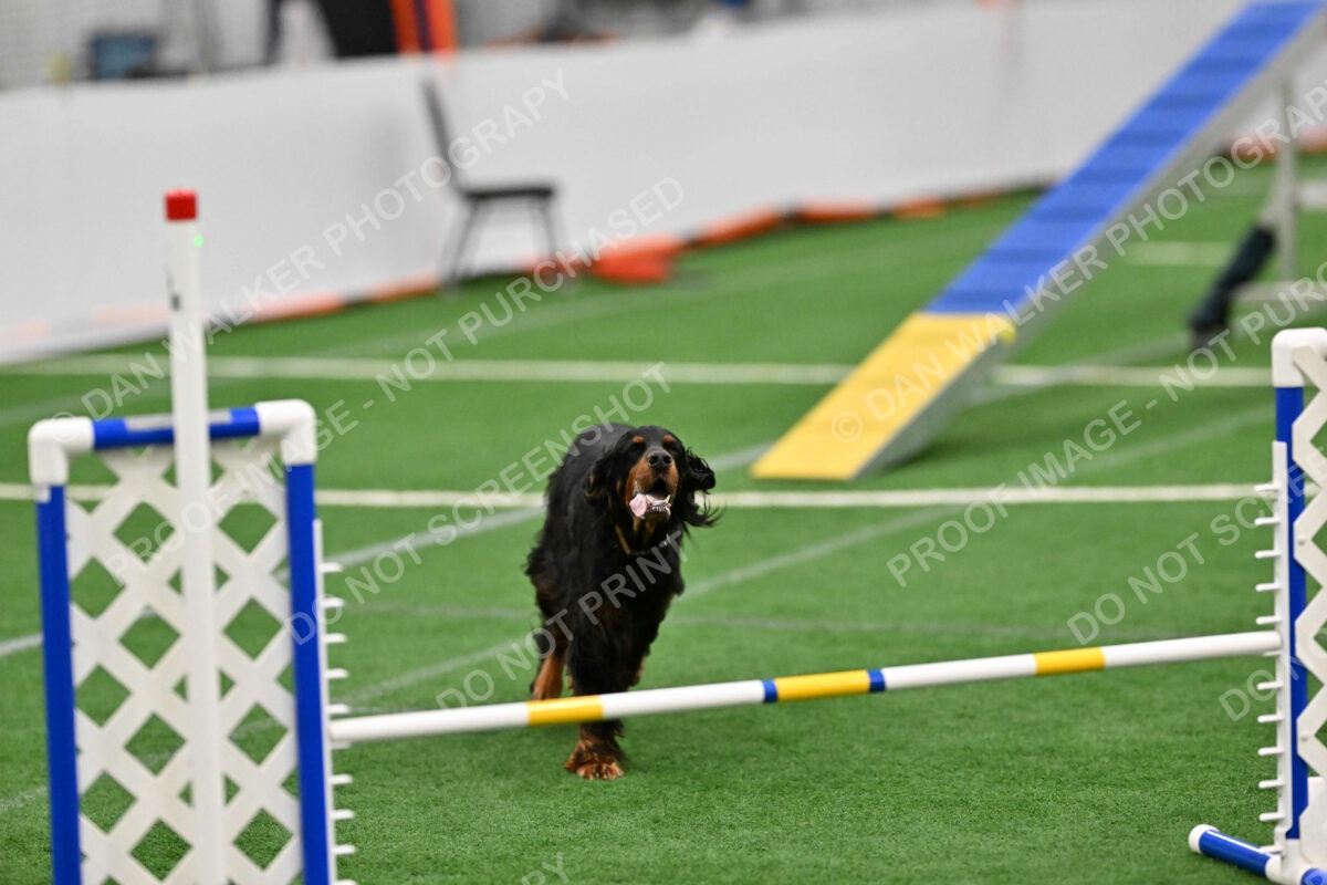 Sherrie-Julie-Ashley-10300