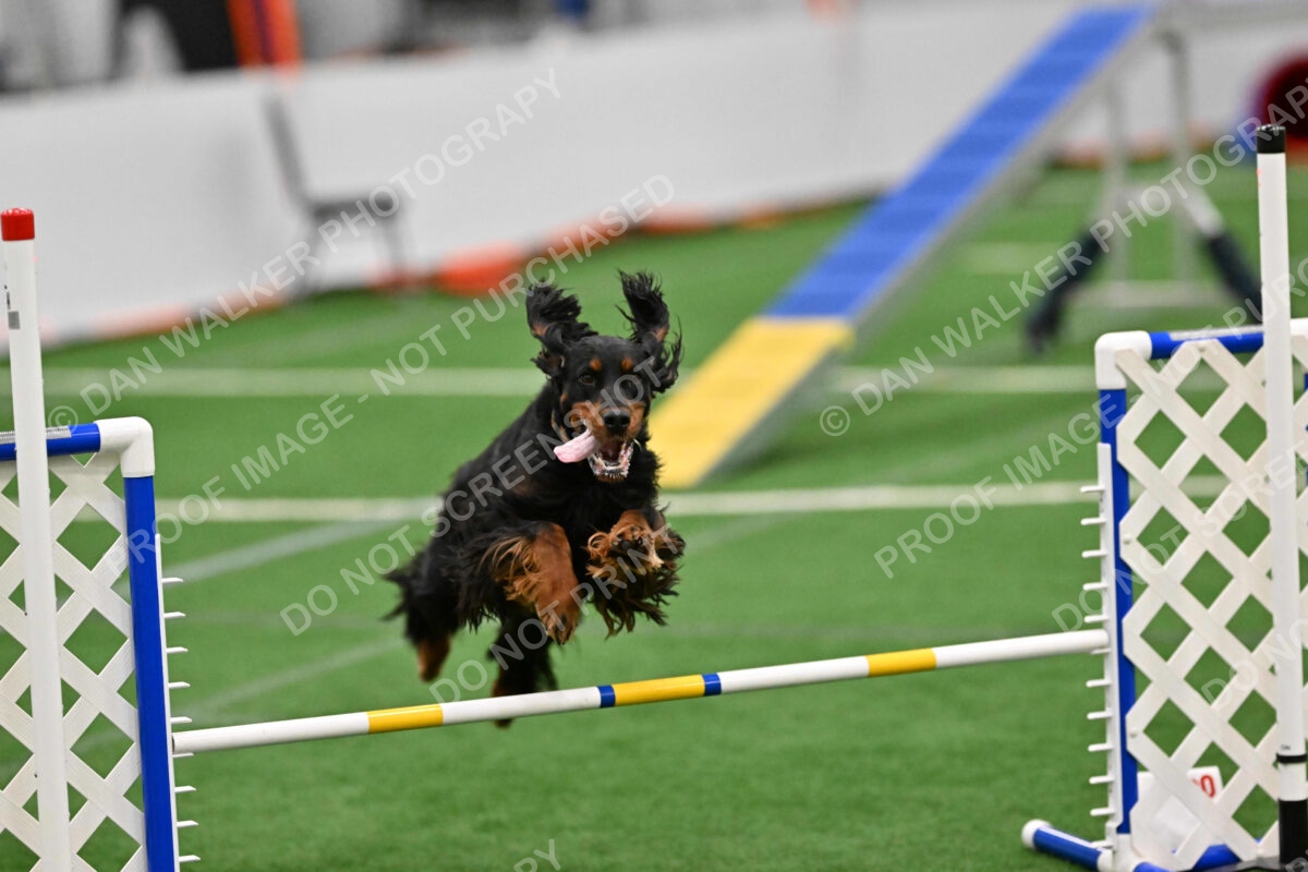 Sherrie-Julie-Ashley-10303