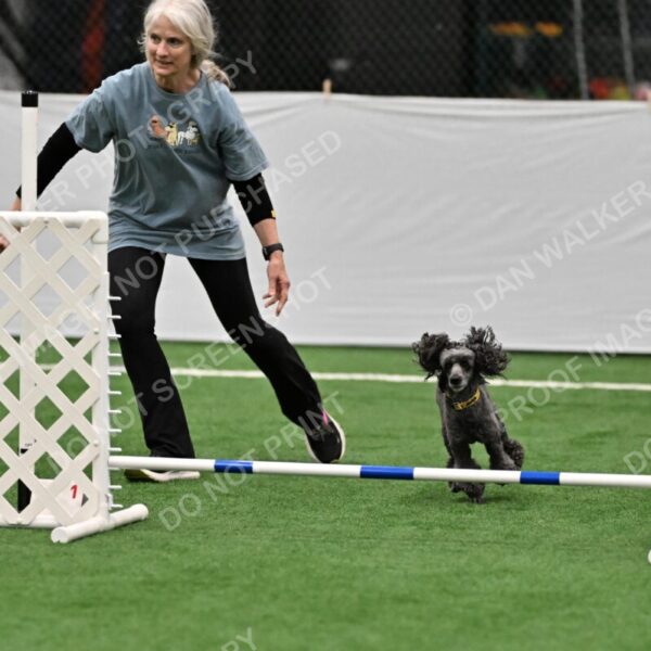 Sprig-Lori-Bieber-09001