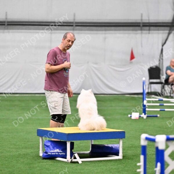 Yeti-Glenn-Rawsky-02402