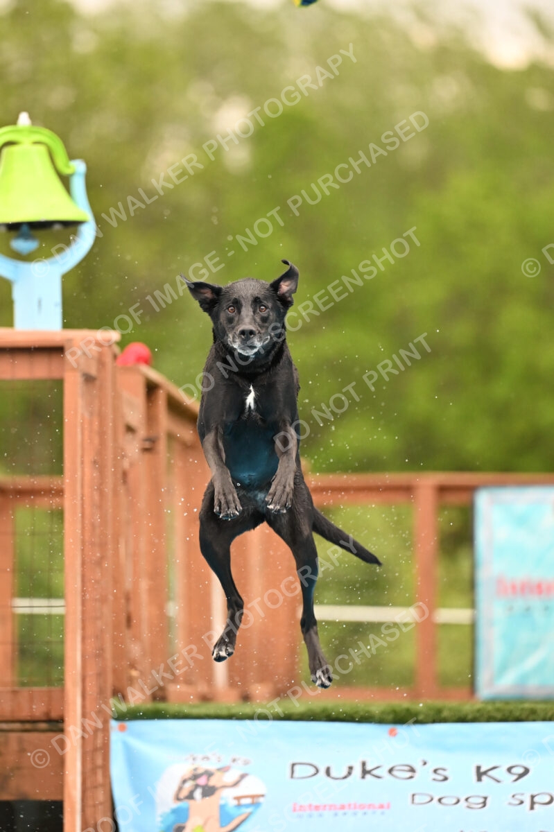 Dukes-5-17-25-00447_25147 PM