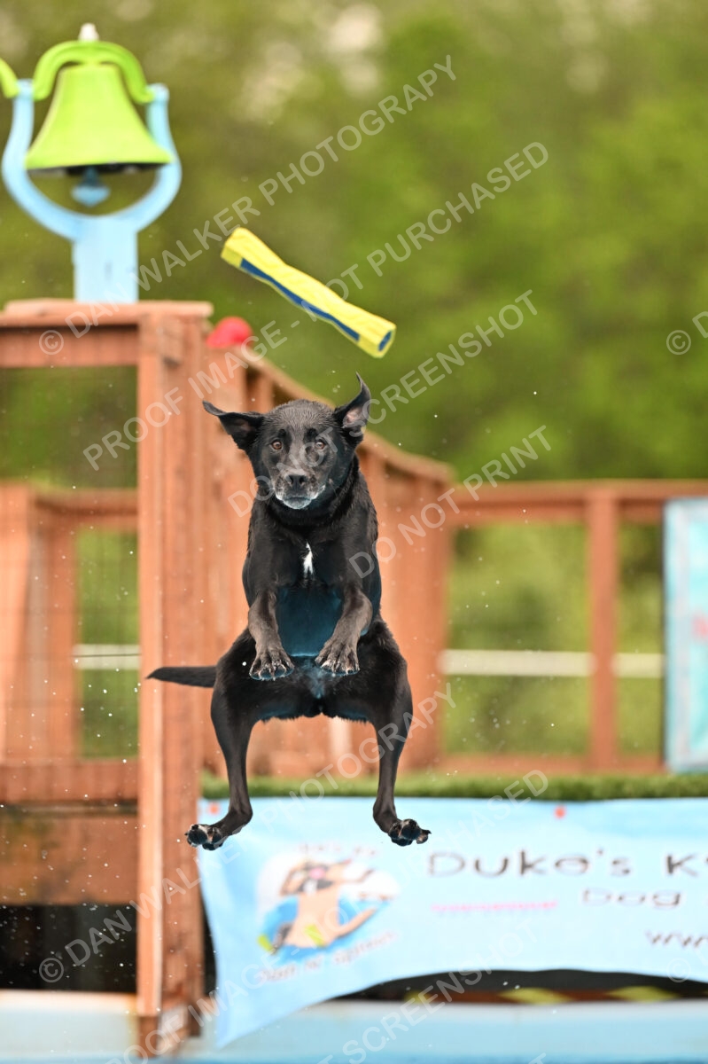 Dukes-5-17-25-00449_25147 PM