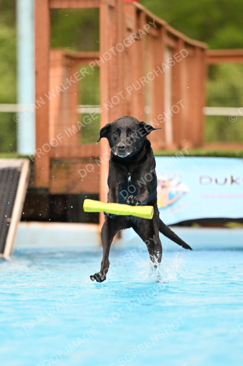 Dukes-5-17-25-00450_25147 PM