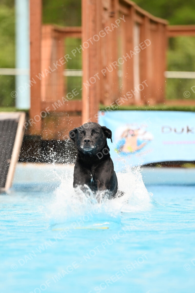 Dukes-5-17-25-00451_25148 PM