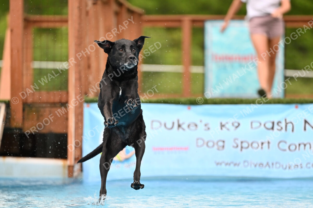 Dukes-5-17-25-00463_25252 PM