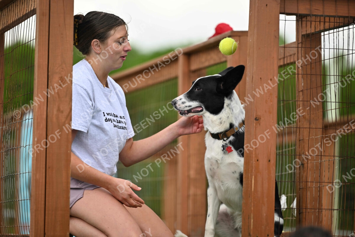 Dukes-5-17-25-00472_25515 PM