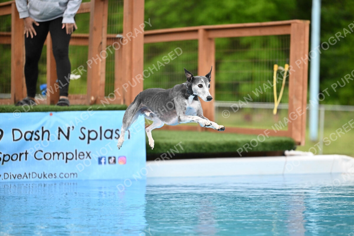 Dukes-5-17-25-00478_25940 PM