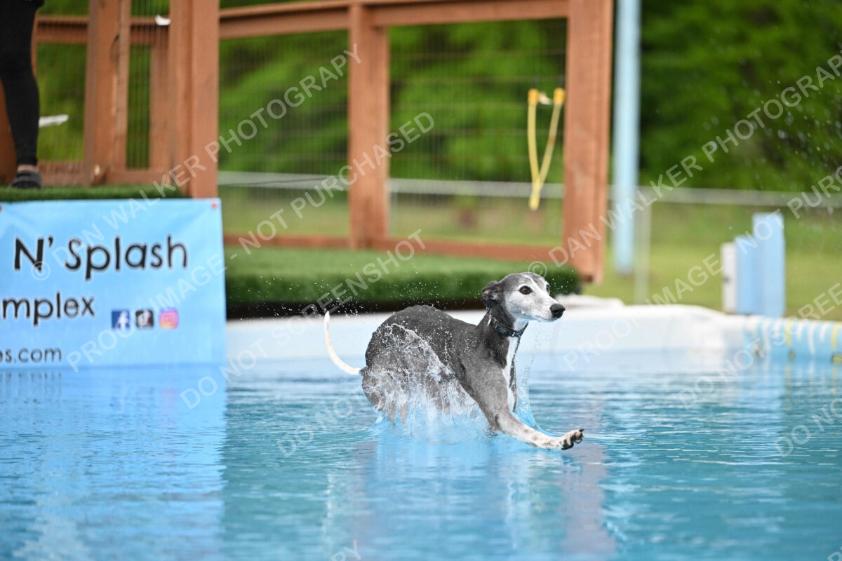 Dukes-5-17-25-00480_25940 PM