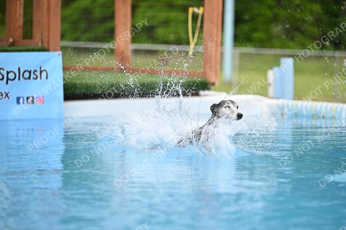 Dukes-5-17-25-00481_25940 PM