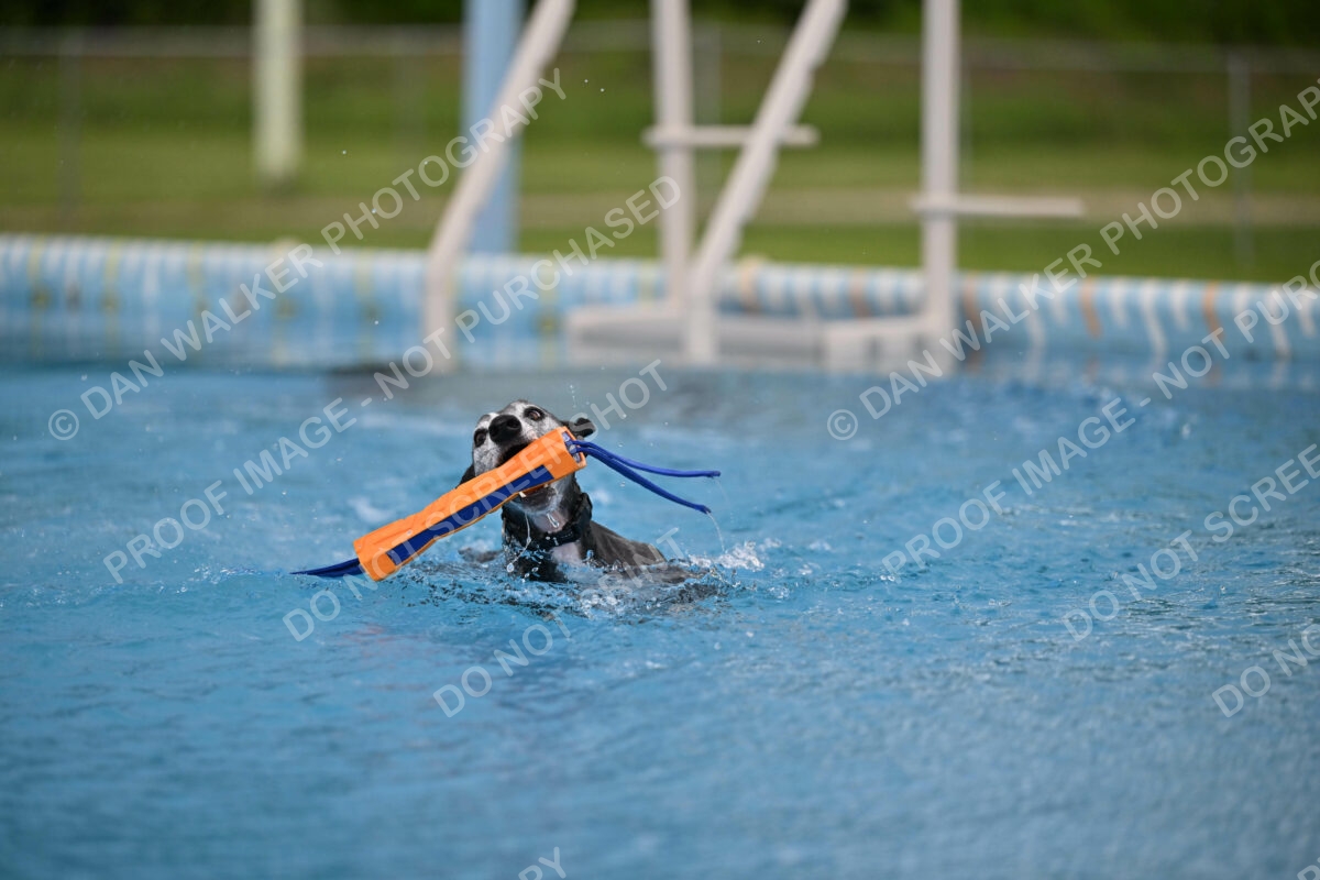 Dukes-5-17-25-00483_25943 PM