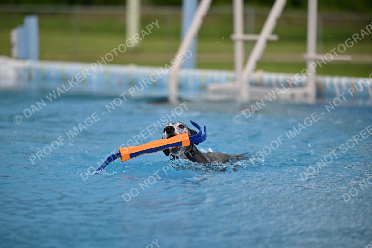 Dukes-5-17-25-00484_25943 PM