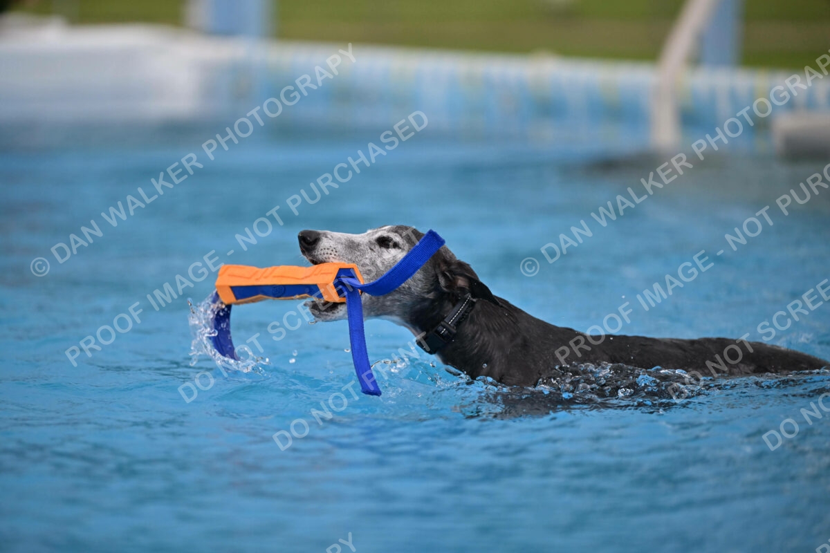 Dukes-5-17-25-00485_25943 PM