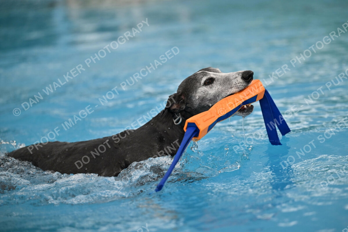 Dukes-5-17-25-00486_25947 PM