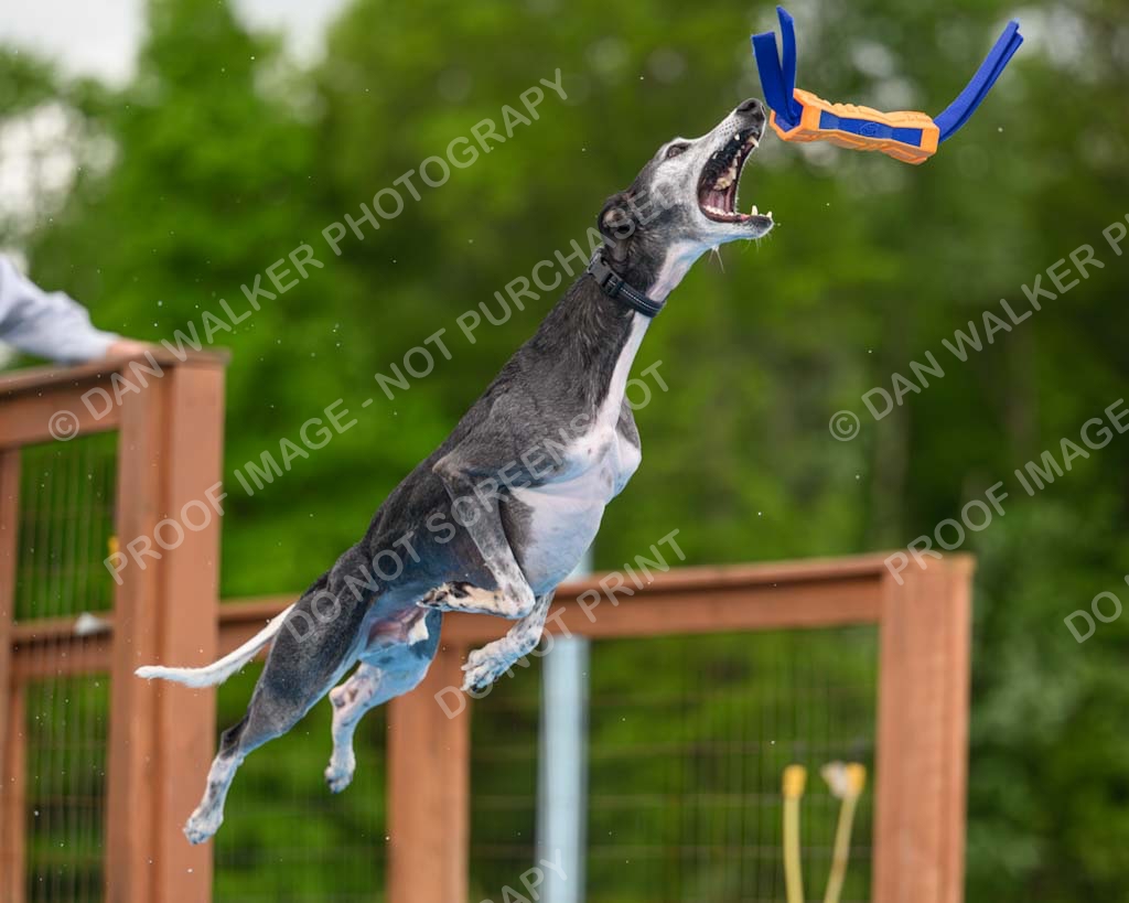 Dukes-5-17-25-00491_30029 PM