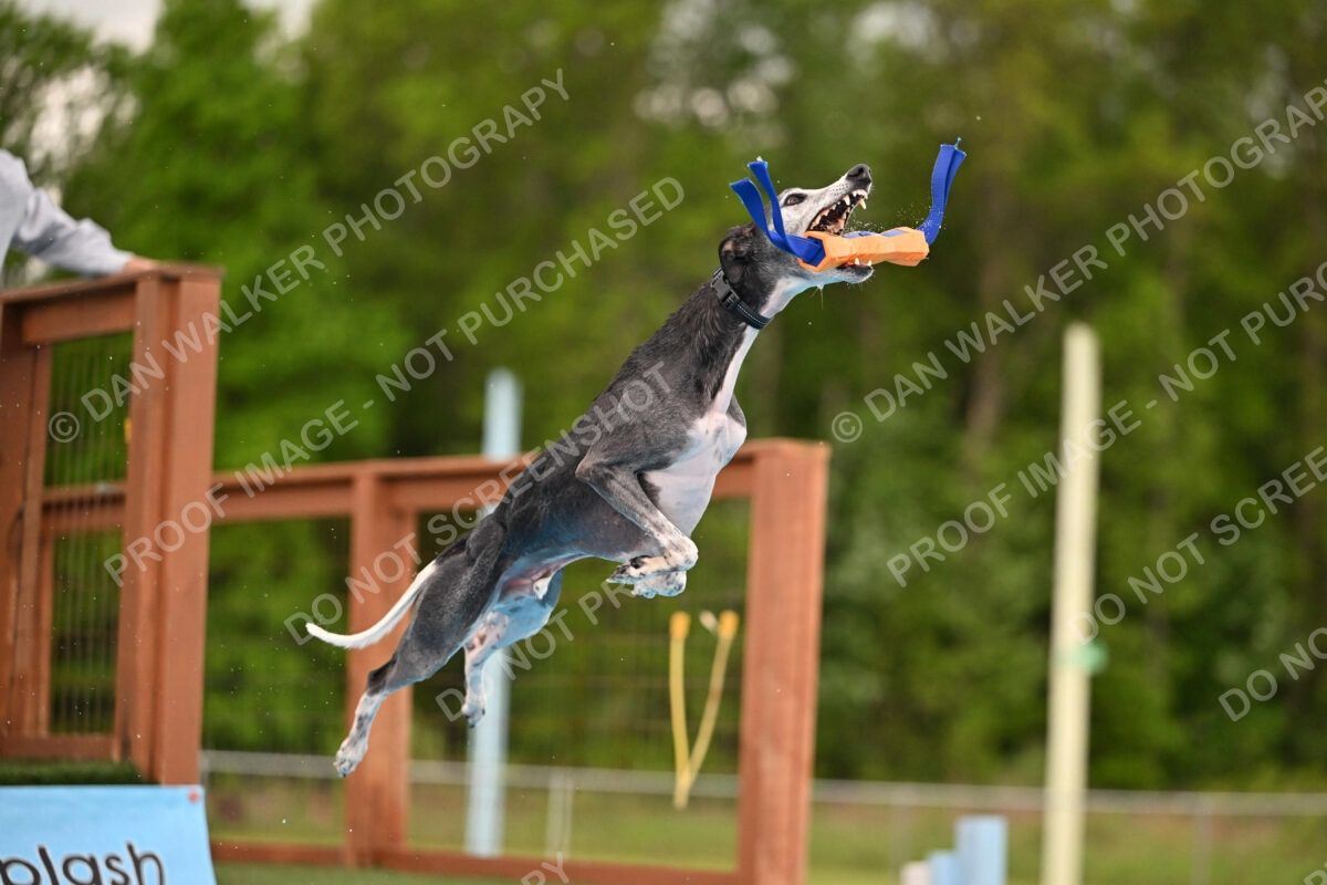 Dukes-5-17-25-00493_30029 PM