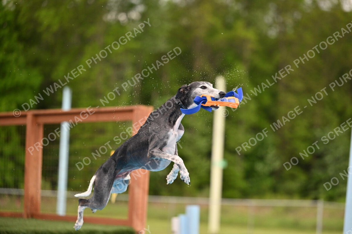 Dukes-5-17-25-00494_30029 PM