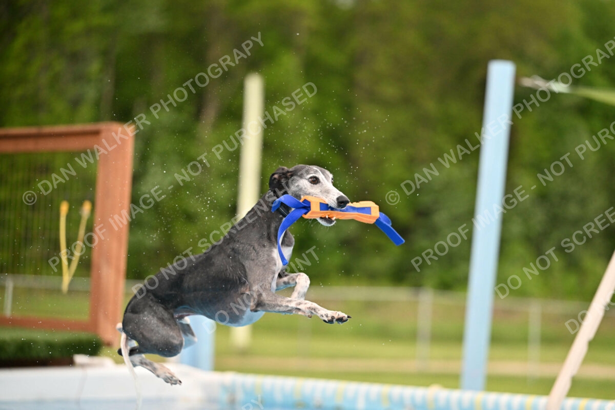 Dukes-5-17-25-00495_30029 PM