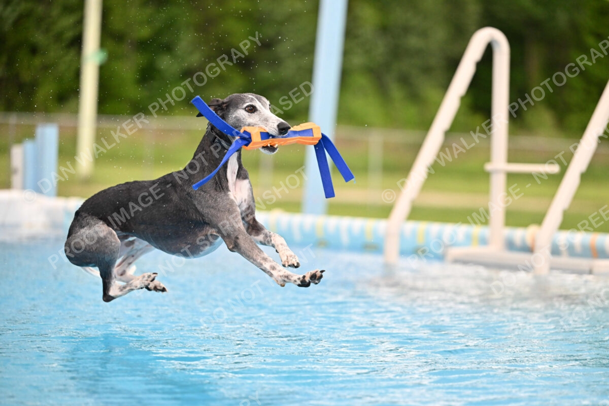 Dukes-5-17-25-00496_30029 PM