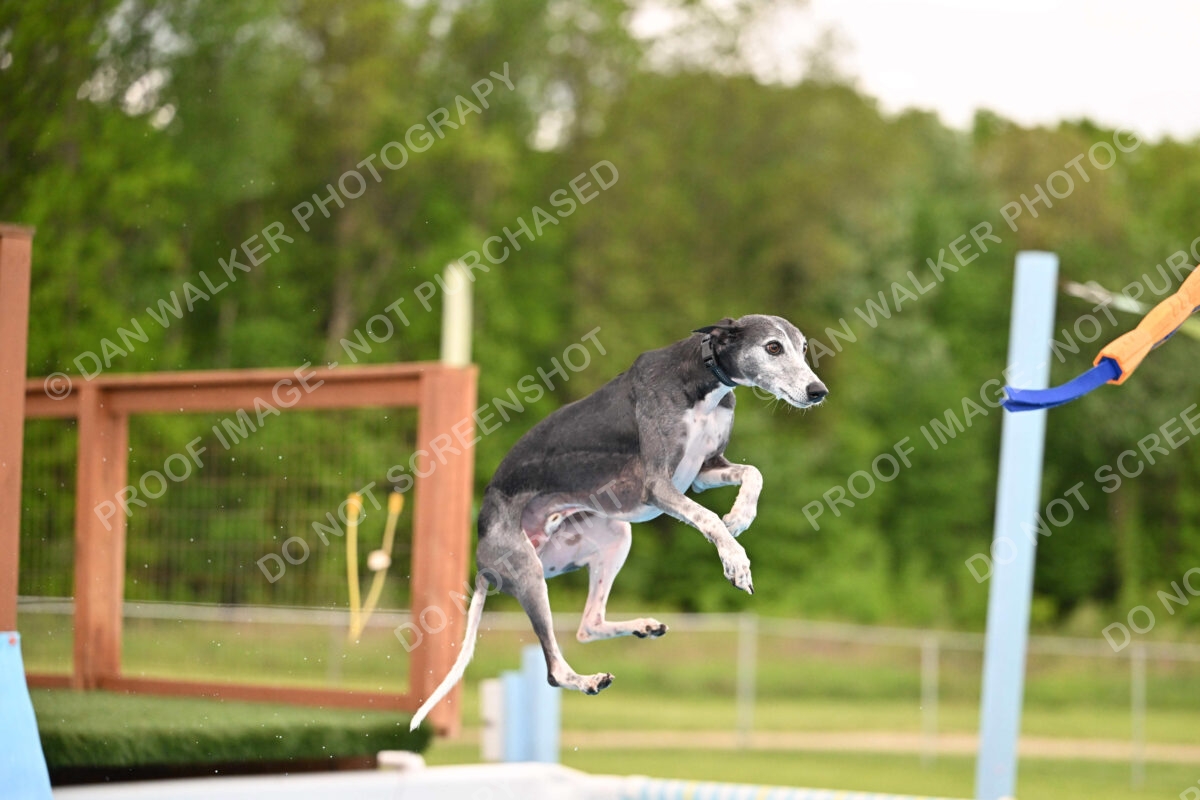 Dukes-5-17-25-00502_30111 PM