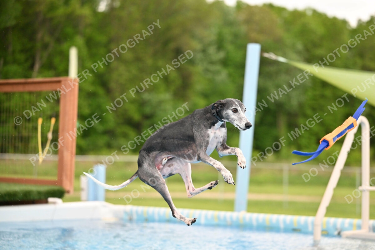 Dukes-5-17-25-00503_30111 PM