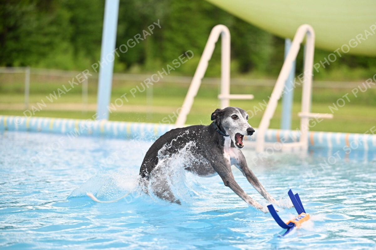 Dukes-5-17-25-00505_30111 PM