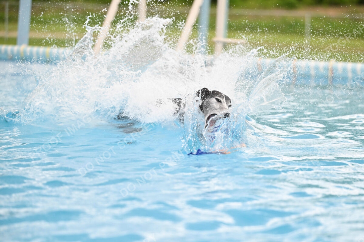 Dukes-5-17-25-00506_30112 PM